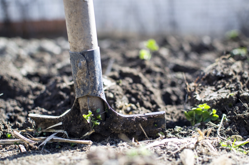 jardinerie-CHATEAUNEUF GRASSE-min_equipment-2047314